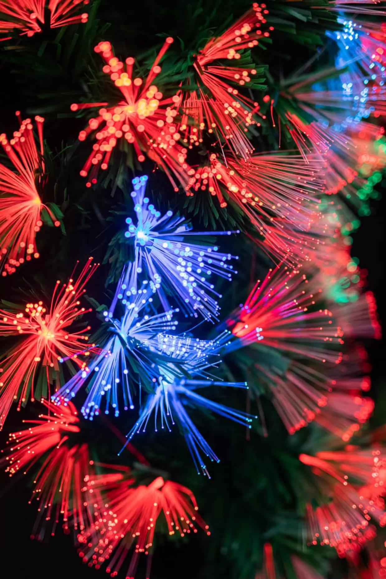 Decorator's Warehouse 24" Fiber Optic Wreath - Multicolor
