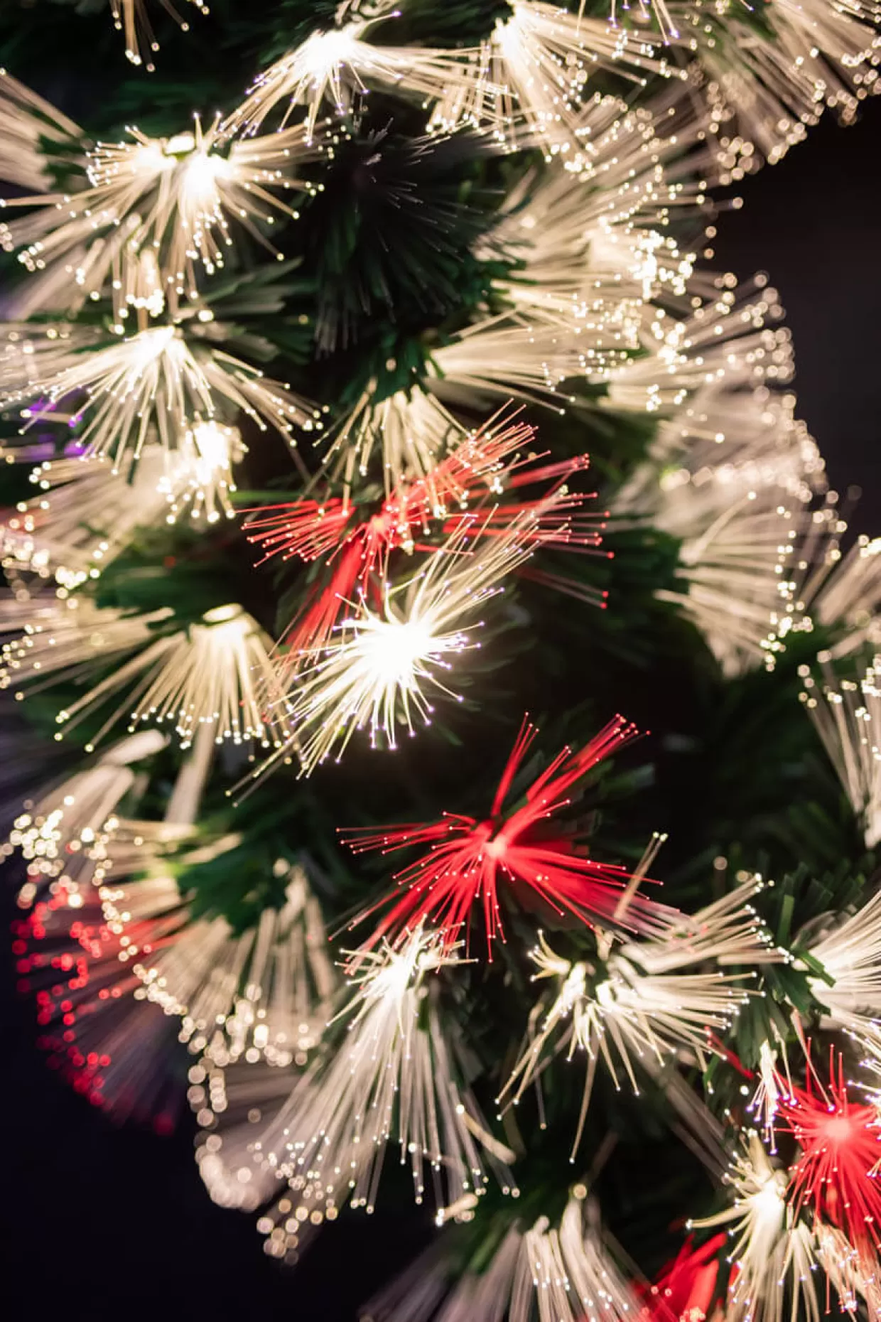Decorator's Warehouse 24" Fiber Optic Wreath - Multicolor With White