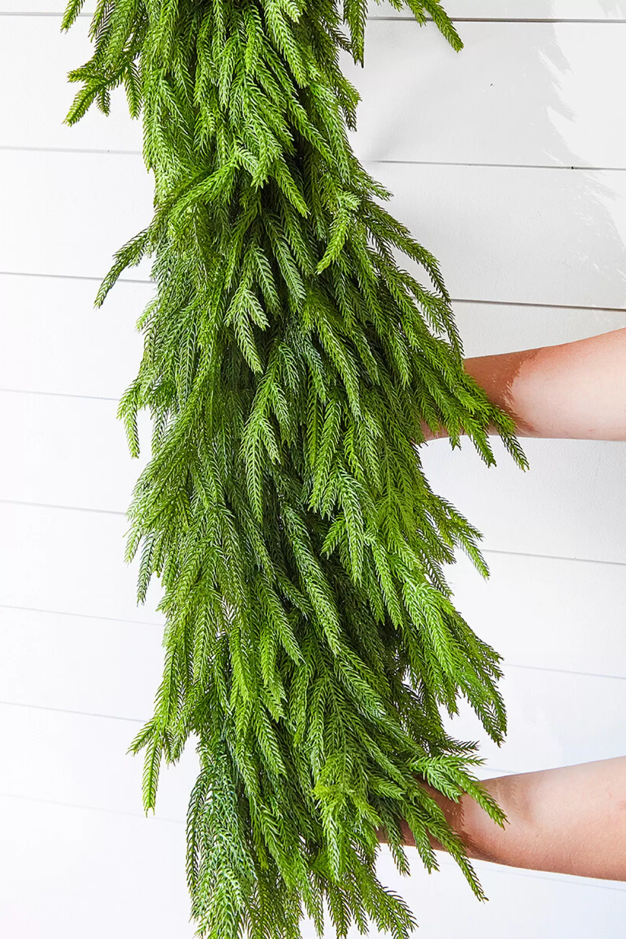Decorator's Warehouse 60" X 16" Real Touch Deluxe Norfolk Pine Garland